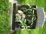 image of grave number 694936